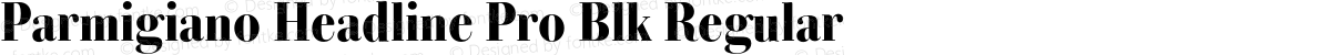 Parmigiano Headline Pro Blk Regular