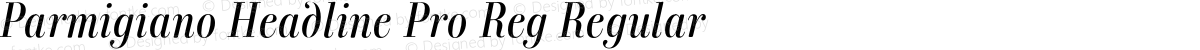 Parmigiano Headline Pro Reg Regular