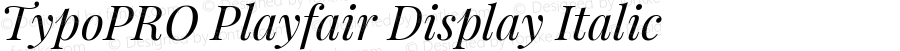 TypoPRO Playfair Display Italic