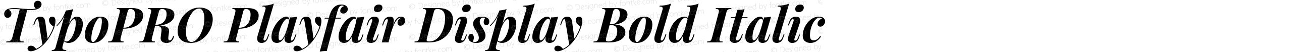 TypoPRO Playfair Display Bold Italic