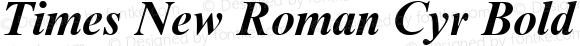 Times New Roman Cyr Bold Italic Version 1.0 - November 1992