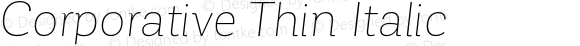 Corporative Thin Italic