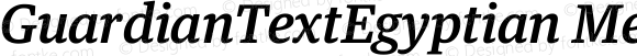 GuardianTextEgyptian Medium Italic