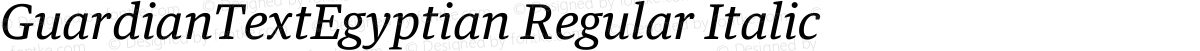 GuardianTextEgyptian Regular Italic