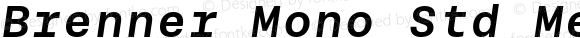 Brenner Mono Std Medium Italic