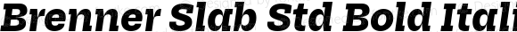 Brenner Slab Std Bold Italic