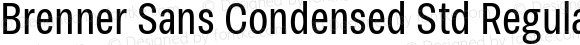 Brenner Sans Condensed Std Regular