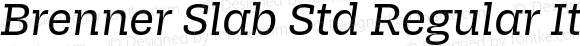 Brenner Slab Std Regular Italic