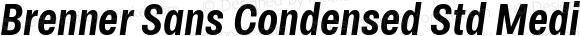 Brenner Sans Condensed Std Medium Italic
