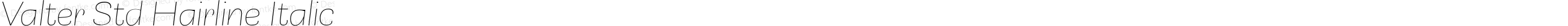 Valter Std Hairline Italic