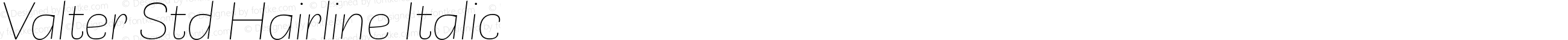 Valter Std Hairline Italic