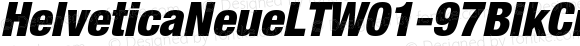 HelveticaNeueLTW01-97BlkCnObl Regular