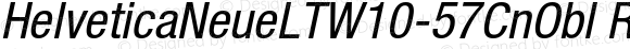 HelveticaNeueLTW10-57CnObl Regular