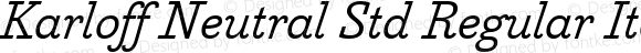 Karloff Neutral Std Regular Italic