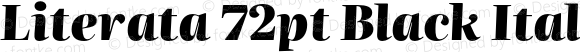 Literata72pt-BlackItalic