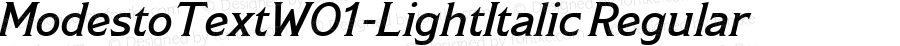 Modesto Text W01 Light Italic