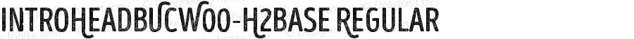 IntroHeadBUCW00-H2Base Regular Version 1.00