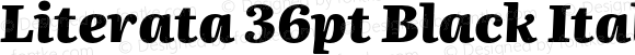 Literata 36pt Black Italic