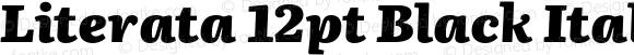 Literata12pt-BlackItalic