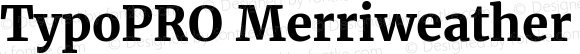 TypoPRO Merriweather Bold