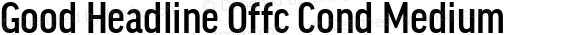 Good Headline Offc Cond Medium Version 7.504; 2010; Build 1022