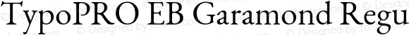 TypoPRO EB Garamond 12 Regular