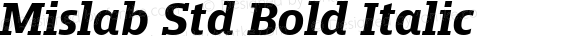 Mislab Std Bold Italic Version 1.000;PS 1.0;hotconv 1.0.72;makeotf.lib2.5.5900 DEVELOPMENT; ttfautohint (v1.2) -l 8 -r 50 -G 200 -x 14 -D latn -f none -w G -X 