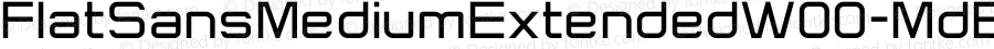 FlatSansMediumExtendedW00-MdEx Regular Version 1.10
