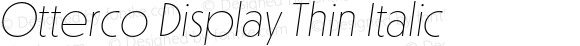 Otterco Display Thin Italic