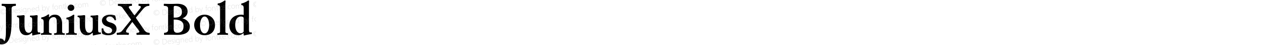 JuniusX Bold