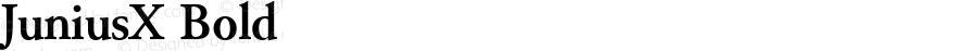 JuniusX Bold