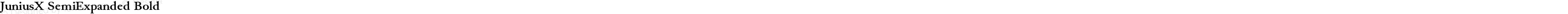 JuniusX SemiExpanded Bold