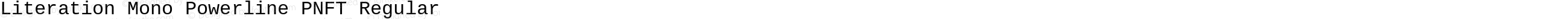 Literation Mono Powerline PNFT Regular