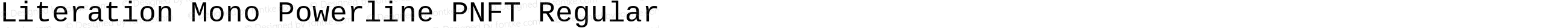 Literation Mono Powerline PNFT Regular