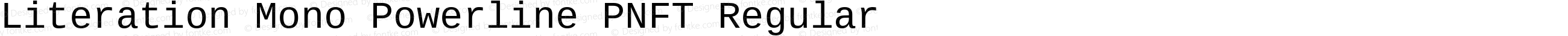 Literation Mono Powerline PNFT Regular