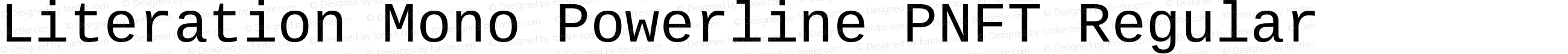 Literation Mono Powerline PNFT Regular