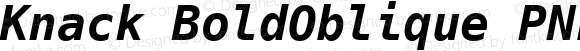 Knack BoldOblique Plus Nerd File Types Mono Plus Font Awesome Plus Pomicons Windows Compatible