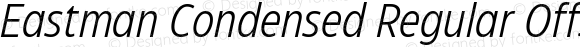 Eastman Condensed Regular Offset Italic