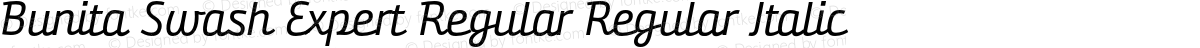 Bunita Swash Expert Regular Regular Italic
