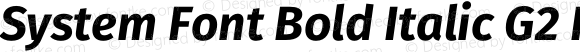 System Font Bold Italic G2 Regular
