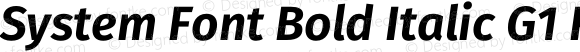 System Font Bold Italic G1 Regular