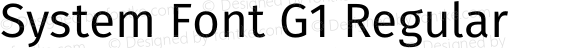 System Font G1 Regular