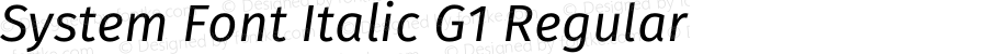 System Font Italic G1