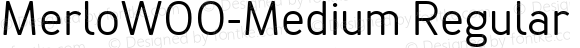 MerloW00-Medium Regular Version 1.00