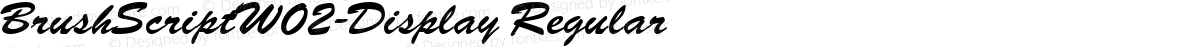 BrushScriptW02-Display Regular