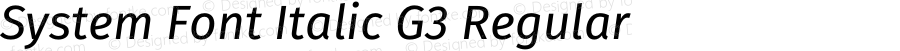 System Font Italic G3