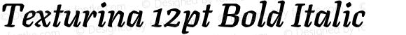 Texturina 12pt Bold Italic