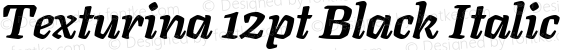 Texturina 12pt Black Italic