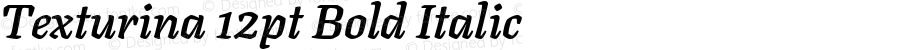 Texturina 12pt Bold Italic