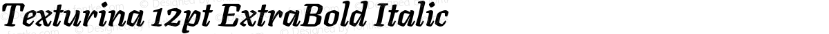 Texturina 12pt ExtraBold Italic